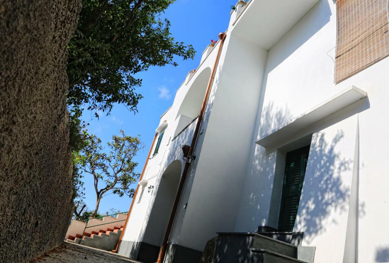 Villa Beatrice Półwysep Sorrentyński Zewnętrze zdjęcie