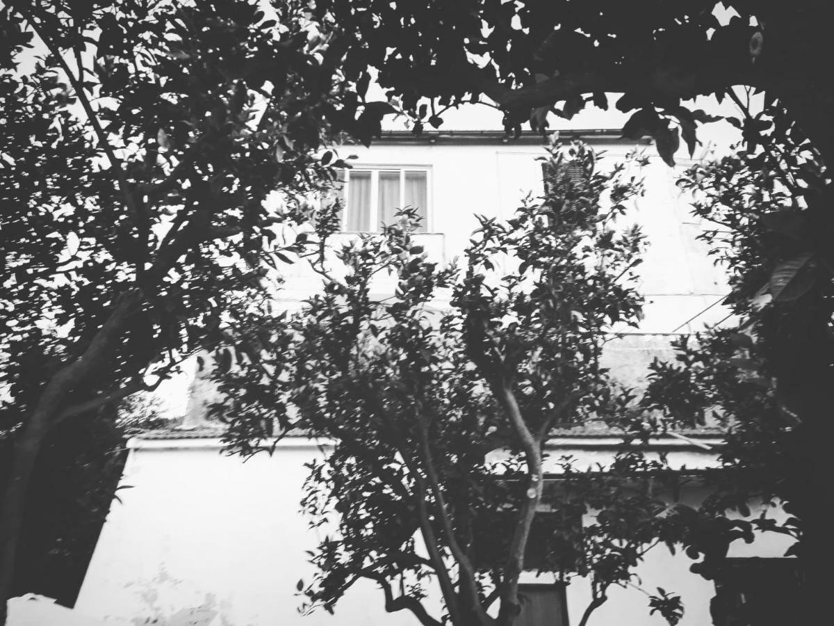 Villa Beatrice Półwysep Sorrentyński Zewnętrze zdjęcie