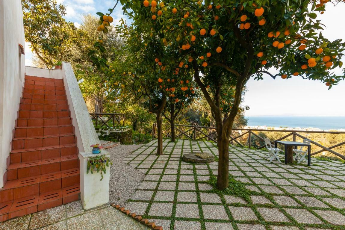 Villa Beatrice Półwysep Sorrentyński Zewnętrze zdjęcie
